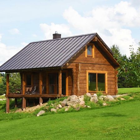 Vip Forest Dreams Villa Anykščiai Kültér fotó