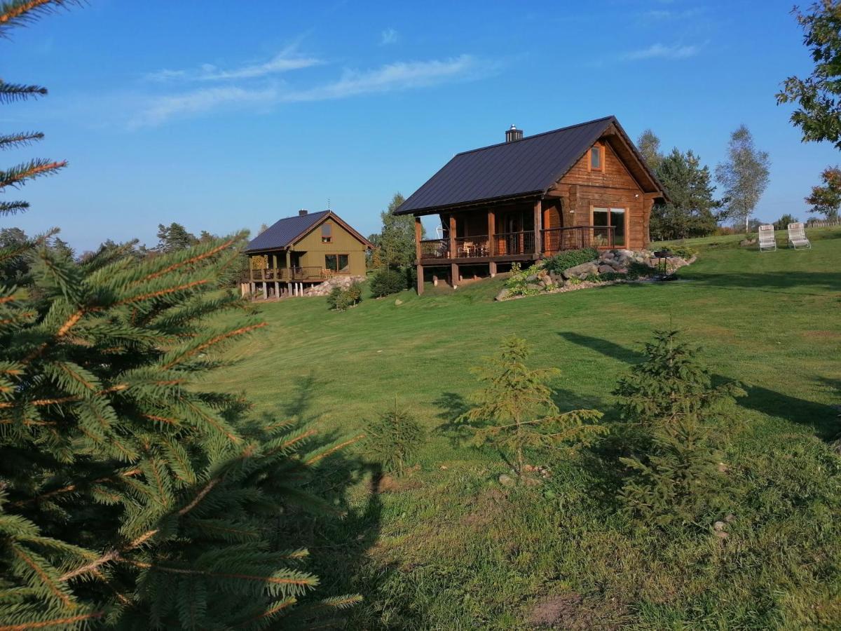 Vip Forest Dreams Villa Anykščiai Kültér fotó