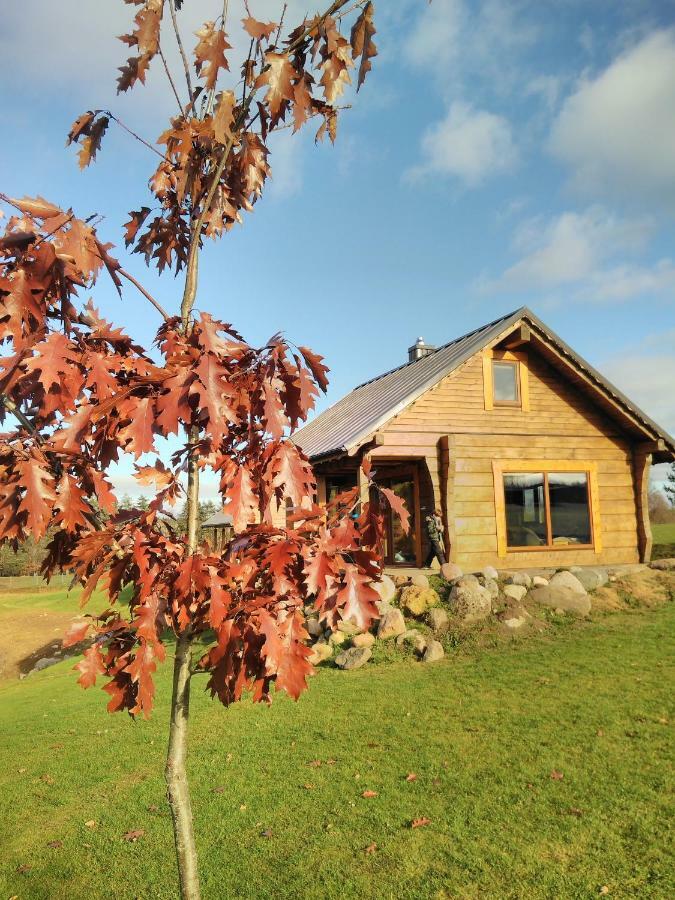 Vip Forest Dreams Villa Anykščiai Kültér fotó