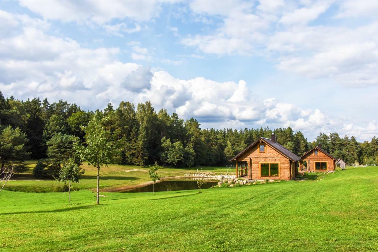 Vip Forest Dreams Villa Anykščiai Kültér fotó
