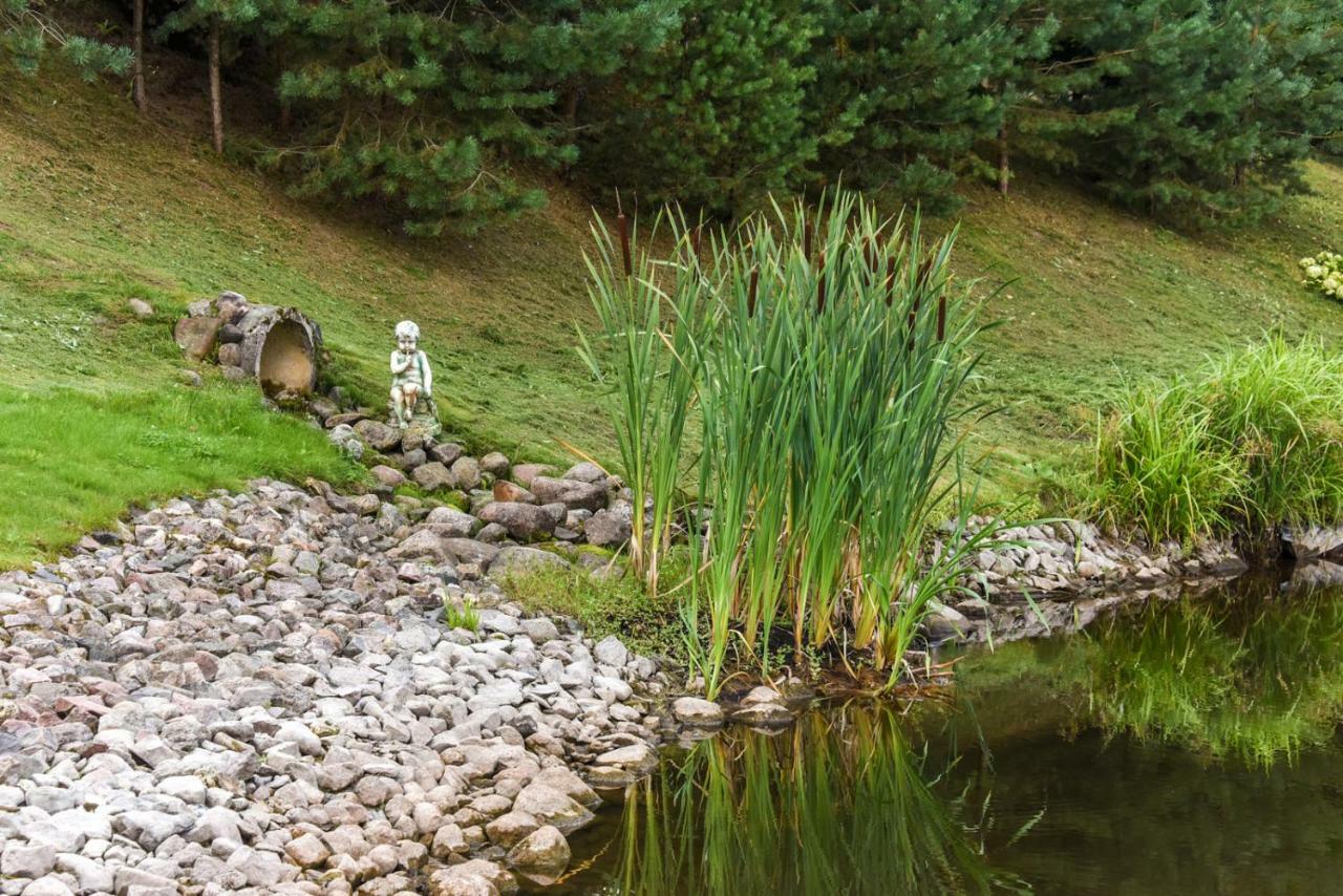 Vip Forest Dreams Villa Anykščiai Kültér fotó